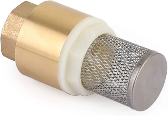 Brass Foot Valve[Spring Type]