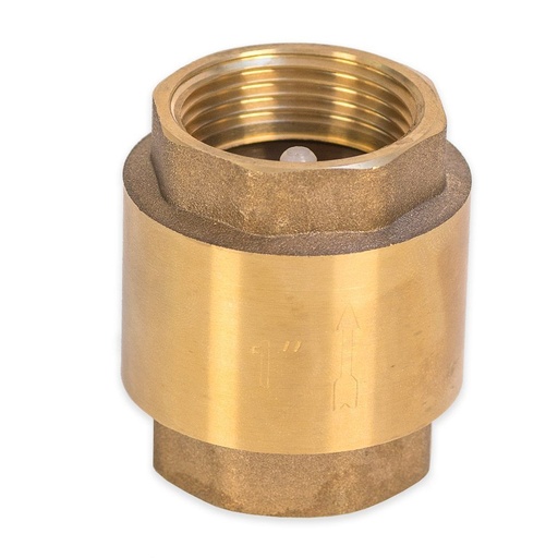Brass None Return Valve[Spring Type]
